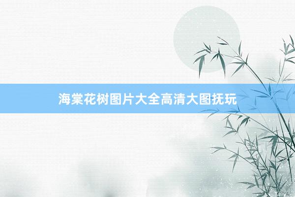 海棠花树图片大全高清大图抚玩
