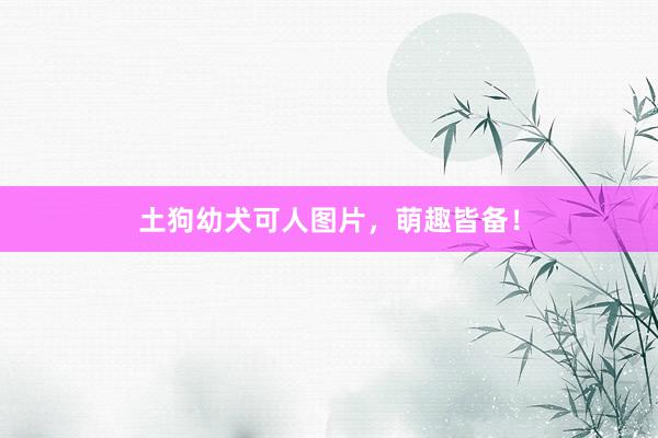 土狗幼犬可人图片，萌趣皆备！